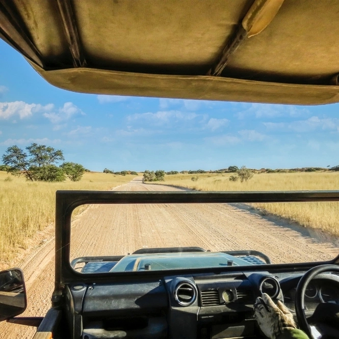 Sariska Jungle Safari