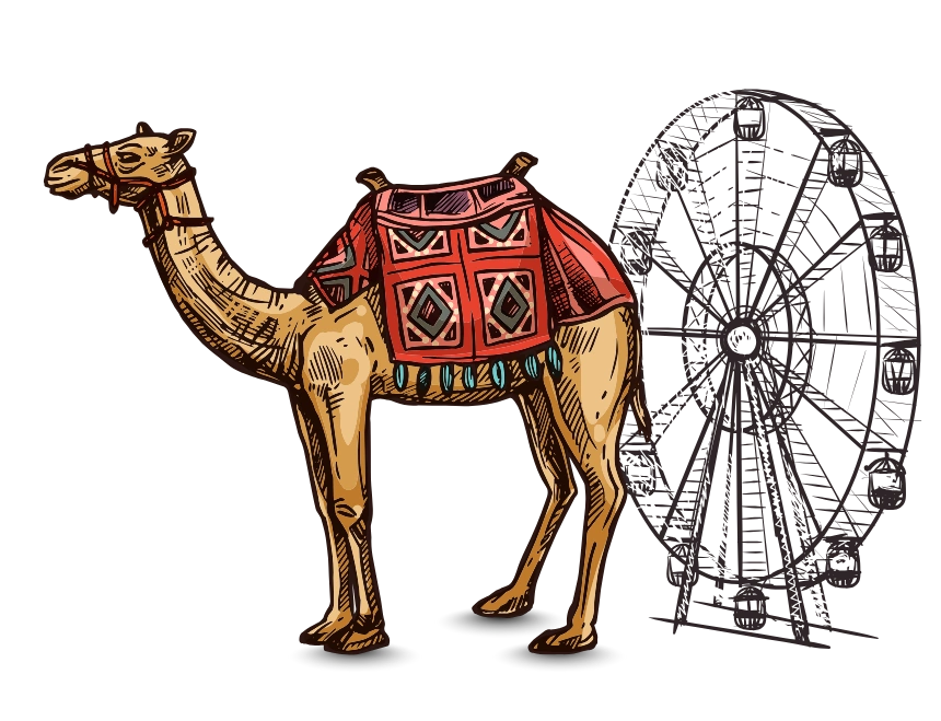 Ajmer Pushkar Darshan