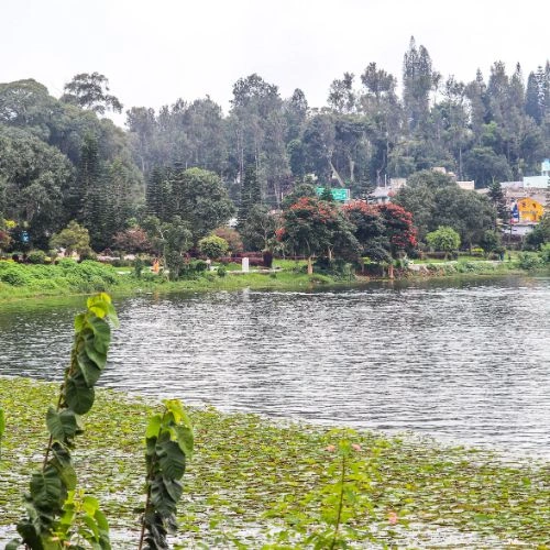 Malik Talao & Rajbagh Lake