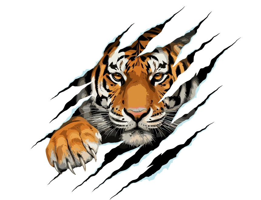 Sariska Wildlife Safari